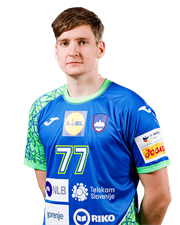 Domen Novak