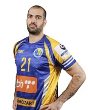 Vladimir Vranjes
