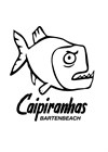 Caipiranhas Bartenbach (GER)