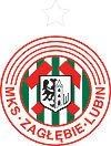 KGHM Metraco Zaglebie Lubin