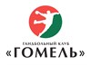 HC Gomel