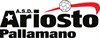ASD Ariosto Pallamano Ferrara
