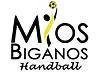 Mios Biganos Handball