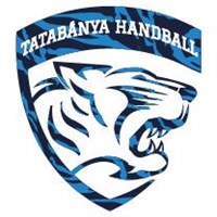 Tatabanya vs Ferencvarosi TC 29/10/2023 13:15 Handball Events & Result